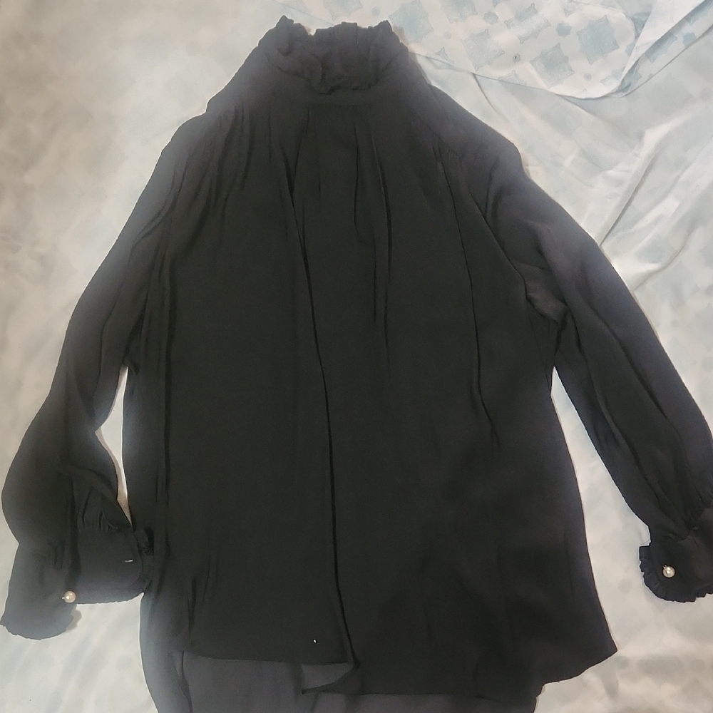 Zara Black Sheer Blouse